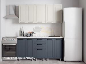 Кухонный гарнитур Лилия 1600 мм Керамика/Сталь
